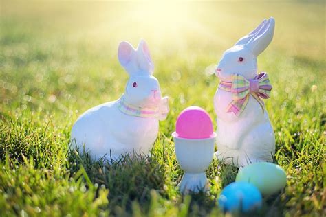 Easter Bunnies Rabbits · Free Photo On Pixabay