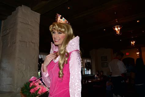 Walt Disney World Epcot Akershus Royal Dining Princess Character Meal