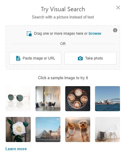 Reverse Image Search Your Complete Guide