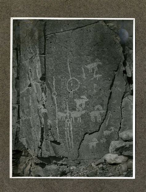 Photograph Of Indian Petroglyphs Depicting Bighorn Sheep 1900 1925