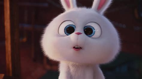 A Close Up Of A White Rabbit With Big Blue Eyes And An Angry Look On