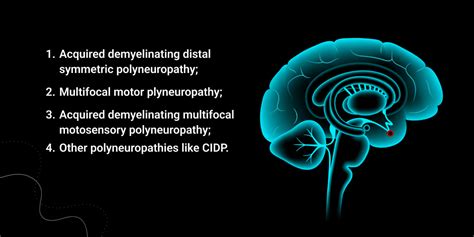 Cidp Symptoms Causes And Treatment