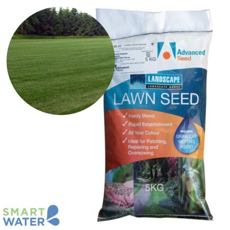 Best Advanced Seed Rtf Premium Tall Fescue Lawn Seed Melbourne Smart