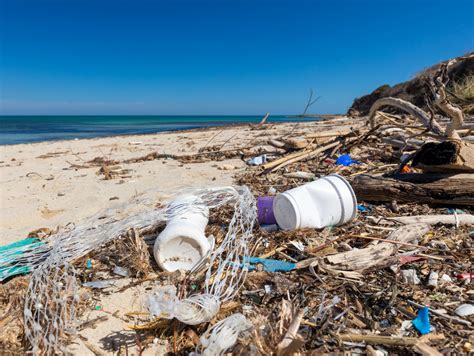 Plastikmüll In Der Umwelt