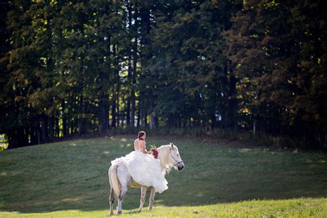 Wedding Horses Saratoga Ny — Tracey Buyce