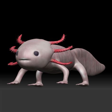 Axolotl 3d Model