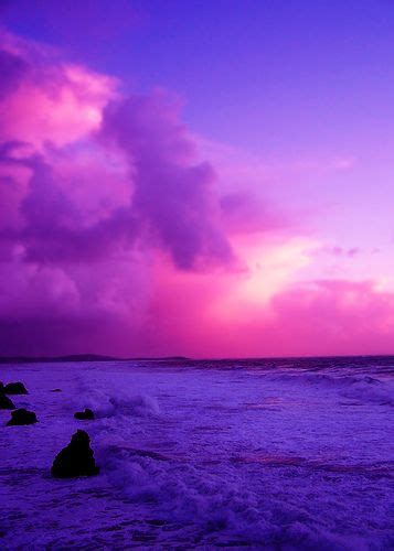 Purple Ocean Sunset Ocean Sunset Sunset Pictures Summer Backgrounds