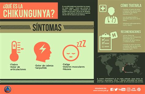 Conoce Los Síntomas Y ¿cómo Tratar La Chikungunya En Nuestra