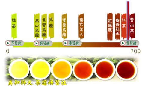 六大茶類的分類方式 美和科技大學茶道研習社