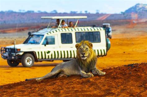 Kenya Tanzania Safari Get The Best Of Both Countries