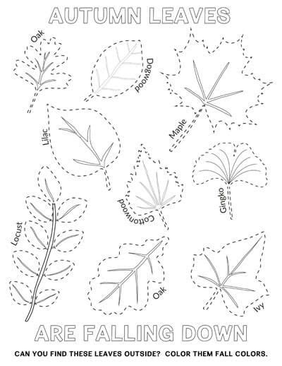 Easy Autumn Leaves Coloring And Tracing Page With Real Leaf Shapes