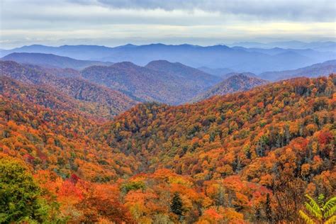 2020 Smoky Mountains Fall Foliage And Forecast Smoky Mountains