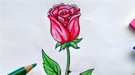Malen Lernen Rose Blumen Zeichnen Lernen Für Anfänger Mit Bleistift