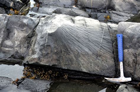 The Charlevoix Impact Crater Earth Science Erratics