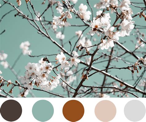 Spring Color Palette | Spring color palette, Summer color palette, Color palette