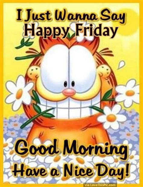 Garfield Good Morning Happy Friday Pictures Photos And Images For