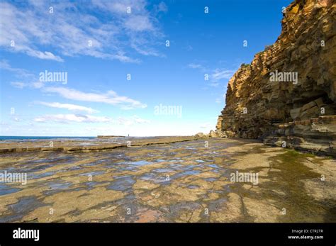 Triassic Sandstone Cliffs Australia Hi Res Stock Photography And Images