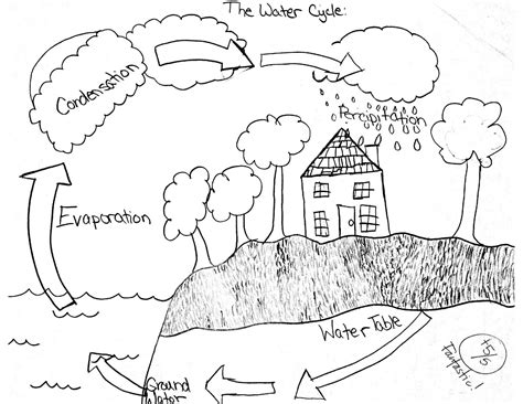13 Best Images Of The Water Cycle Worksheet Answers Blank Water Cycle