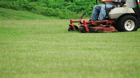Why You Should Be Following The 13 Rule When Mowing Lawns In Michigan
