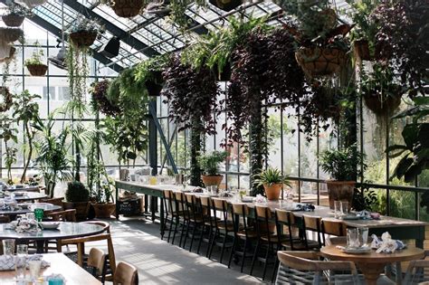 An Indoor Dining Area With Tables And Chairs Covered In Hanging Plant