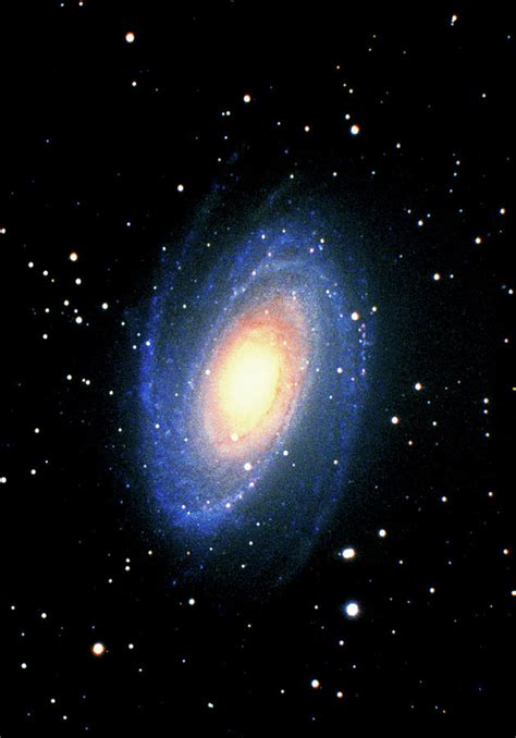 Optical Image Of The Spiral Galaxy M81 Photograph By Tony And Daphne