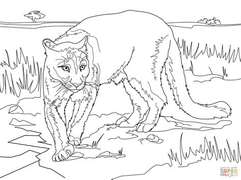 Cómo dibujar un pulpo de forma fácil para niños. 40 dibujos de Pumas para colorear | Oh Kids | Page 3