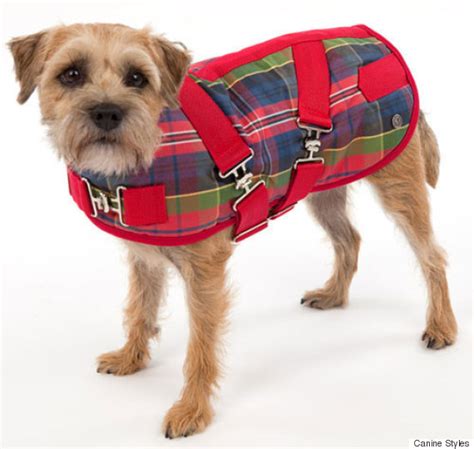 3 Dog Clothing Brands Thatll Make Your Pup The Best Dressed On The