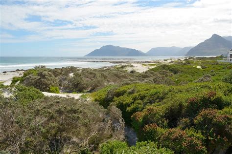 On The Beach Holiday Home Kommetjie Houses For Rent In Cape Town