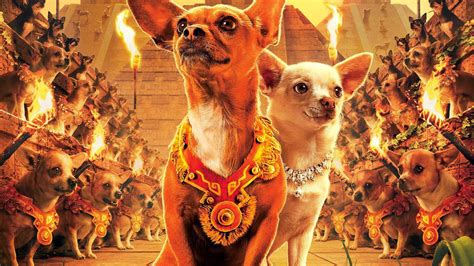 Top 10 Best Dog Movies Of All Time That Every Dog Lover Must Watch