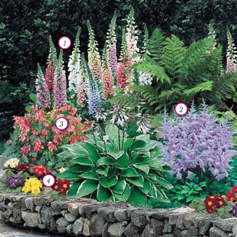 Beautiful Fall Flowers To Plant In Your Garden 78 Best Fall Flower