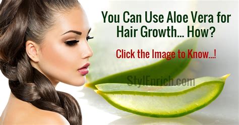 Aloe Vera For Hair Natural Treatment For Luscious And Lustrous Locks