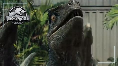 Informel Il Héritage Jurassic Park Raptor Sound Payer Effectivement Mécanisme