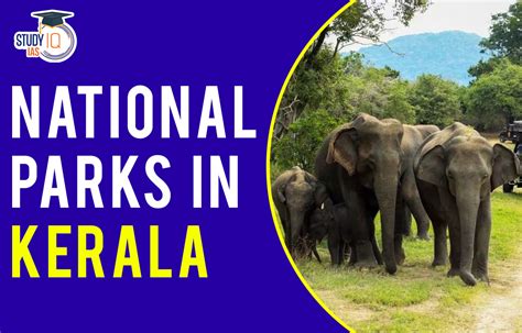 National Parks In Kerala List 2023 Name Map Location Features