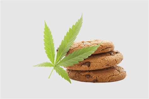 Green Plant Leaves Cannabis Leaves Addictive Chocolate Biscuits