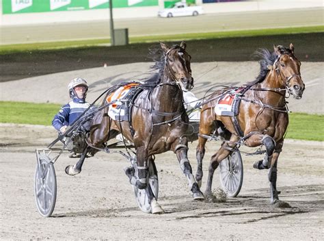 Pitt Captain Ravishing Might Be A Little Bit Better Than Ride High Harness Racing Victoria