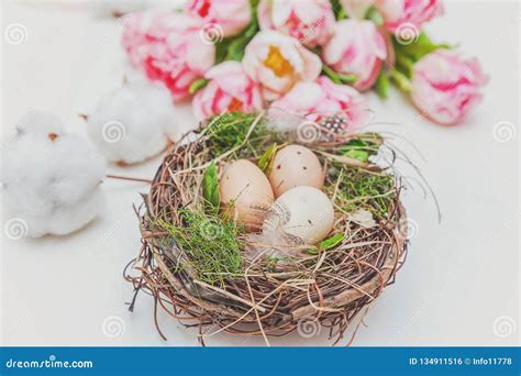 Easter Eggs In Nest With Moss Cotton And Pink Fresh Tulip Bouquet On