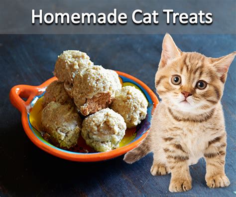 Homemade Cat Treats Cat Treats Homemade Homemade Cat Homemade Cat Food