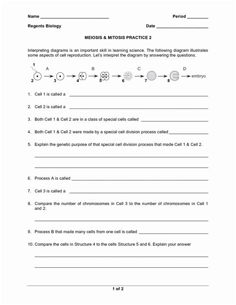 Learn vocabulary, terms and more with flashcards, games and other study tools. 50 Meiosis Matching Worksheet Answer Key | Chessmuseum Template Library