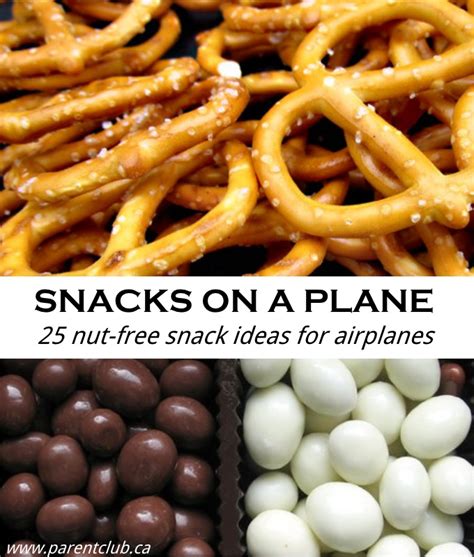 Snacks On A Plane 25 Nut Free Snack Ideas For Airplanes