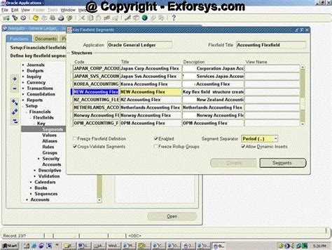 Oracle Apps 11i Setting Up Chart Of Accounts Coa It Training And