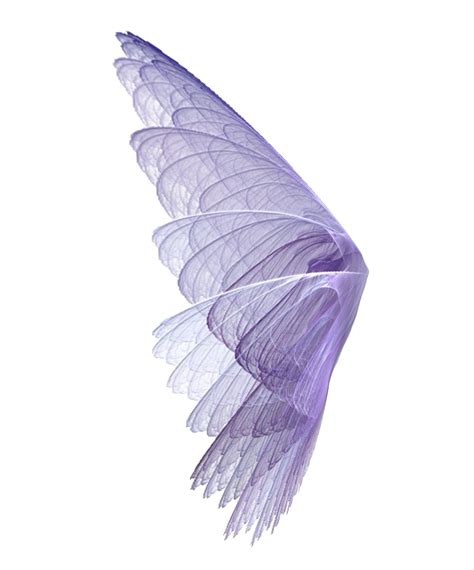 Realistic Fairy Wings Png Picture Png Arts