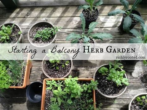 You'll view a sizable variety of various. Starting a Balcony Herb Garden - Richly Rooted
