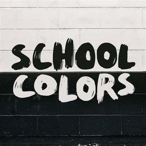 School Colors Launch Brooklyn Movement Center