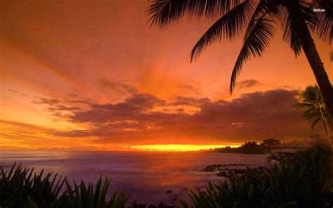 Download Hawaii Sunset Hd 4k Wallpaper