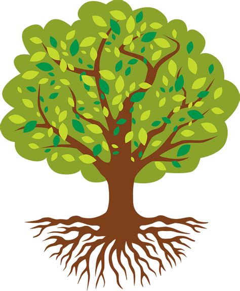 Tree Of Life Clip Art Tree Vector Png Png Download 620688 Free Porn