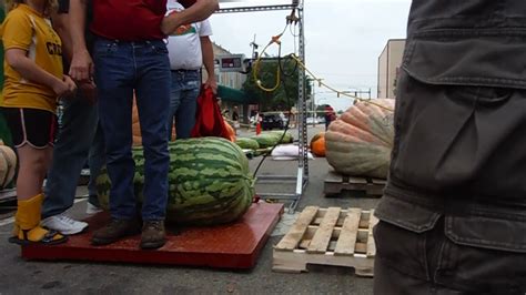 New World Record Watermelon Weighs Lbs Shatters Old Record Lb From Elvis Video Vault