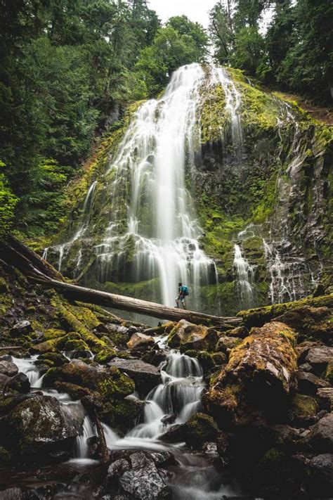 Proxy Falls Hike—central Oregons Most Epic Waterfall