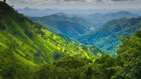 Hill Country Tours Sri Lanka L Hill Country Packages L Nkar Travel