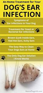 Dog Ear Wax Colour Chart Warehouse Of Ideas
