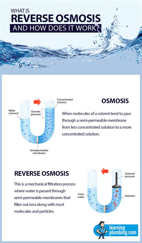What Is Reverse Osmosis And How Does It Work Dbldkr